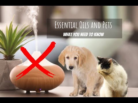 Essential Oils and Pets… What you need to know!